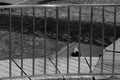 A young woman in a mask is standing under a pedestrian bridge.