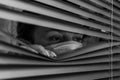 Young woman in medical mask looks out the window through the blinds Royalty Free Stock Photo