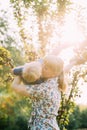 Young Woman Mother Hugging And Kissing Her Baby Son In Sunny Garden. Outdoor Summer Portrait Royalty Free Stock Photo