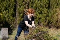 A young woman moves the cut branches of a confusing willow to the place of scaling and arranges a large pile Royalty Free Stock Photo