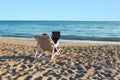 Young woman in office clothes with a laptop on the beach on a background of the sea in a summer sunny day. Concept Royalty Free Stock Photo