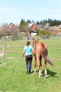 Young woman owner leading her brown horse in rural field.