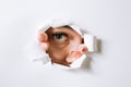 Young woman peeks through a hole in a paper white wall Royalty Free Stock Photo