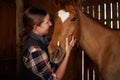 Horses make a landscape look beautiful. a young woman petting a horse in a barn. Royalty Free Stock Photo