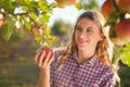 Young woman picking apples from apple tree on a lovely sunny sum Royalty Free Stock Photo