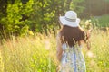 Young woman picking flowers in the meadow in summer evening, back view Royalty Free Stock Photo