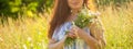 Young woman picking flowers in the meadow in summer evening Royalty Free Stock Photo