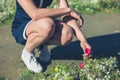 Young woman picking flowers in a park Royalty Free Stock Photo