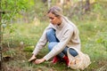 Young woman picking mushrooms in autumn forest Royalty Free Stock Photo