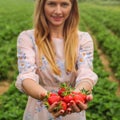 Young woman in pink dress holding two hands full of freshly pick Royalty Free Stock Photo