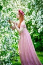 Young woman in a pink lace dress and a wreath of roses inhales the fragrance of a flowering tree. An idea for a photo shoot Royalty Free Stock Photo