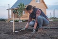 a young woman planting an Apple tree in the garden near the house Royalty Free Stock Photo