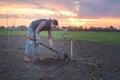 A young woman planting an Apple tree in the garden near the house Royalty Free Stock Photo