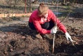 A young woman planting a walnut seedling