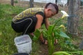 Young woman planting white calla flower  in the garden with green grass all around Royalty Free Stock Photo