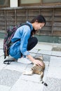Young woman play with street cat Royalty Free Stock Photo