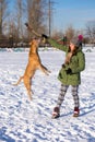 Young woman playing with American Pit Bull Terrier in winter Royalty Free Stock Photo
