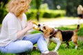 Young woman playing with Beagle dog Royalty Free Stock Photo