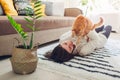 Young woman playing with cat on carpet at home. Master lying on floor with her pet