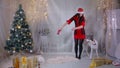 Young woman playing with dog near christmas tree.