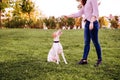 young woman playing with her dog at the park. autumn season Royalty Free Stock Photo