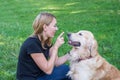 Young woman playing with her dog retriever touching the dog`s nose while lying on the grass in the park Royalty Free Stock Photo