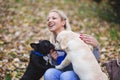 Young woman playing with her dogs