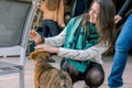 Young woman playing with a sheepdog puppy during a party with friends outdoors. Animalism concept