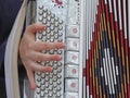 Young woman plays the ancient accordion keyboard Royalty Free Stock Photo