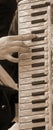 Young woman plays the ancient accordion keyboard Royalty Free Stock Photo