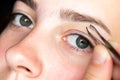 Young woman plucking eyebrows with tweezers. Eyebrow correction Royalty Free Stock Photo