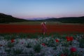Young woman poppy field. A beautiful wine red dress. Royalty Free Stock Photo
