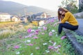 Young woman in poppy field of flowers Royalty Free Stock Photo