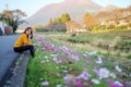 Young woman in poppy field of flowers Royalty Free Stock Photo