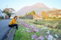 Young woman in poppy field of flowers Royalty Free Stock Photo