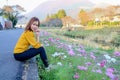 Young woman in poppy field of flowers Royalty Free Stock Photo