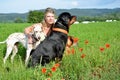 Young woman poses with her big dogs on green meadow Royalty Free Stock Photo