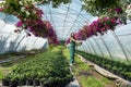 Young woman posing in floral greenhouse