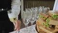 A young woman pours champagne into glasses. Champagne in a glass. Catering with sandwiches. A woman pours champagne into Royalty Free Stock Photo