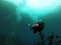 Young woman practices the sport scuba diving with oxygen tank equipment, visor, fins, relaxes and enjoys the bottom of the crystal Royalty Free Stock Photo