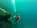 Young woman practices the sport scuba diving with oxygen tank equipment, visor, fins, relaxes and enjoys the bottom of the crystal Royalty Free Stock Photo