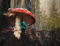 Young woman protect herself from rain under a mushroom..