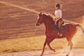 Young woman in protective hat riding her horse in agriculture field at sunny daytime Royalty Free Stock Photo