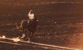 Young woman in protective hat riding her horse in agriculture field at sunny daytime Royalty Free Stock Photo