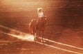 Young woman in protective hat riding her horse in agriculture field at sunny daytime Royalty Free Stock Photo