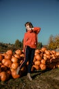 Young woman on a pumpkin farm. Beautiful girl near pumpkins. A girl with a pumpkin Royalty Free Stock Photo