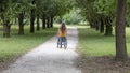 Young woman pushing a wheelchair through the middle of a tree-lined driveway in a park, rear view Royalty Free Stock Photo