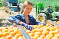 Young woman putting harvested peaches in boxes in garden