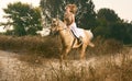 Young woman racing on horse (motion blur) Royalty Free Stock Photo