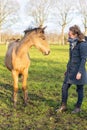 Young woman in a raincoat with her yellow 1 year old stallion in the pasture. Curious horse`s head while being brushed. Brush is Royalty Free Stock Photo